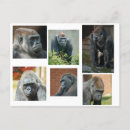 Recherche de troupe cartes postales Pour tous