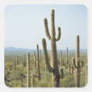Recherche de saguaro autocollants Les etats unis