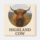 Recherche de vaches magnets Portrait