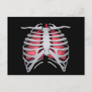 Suche nach anatomie postkarten Medizin