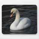Suche nach schwan mousepads Ruhig