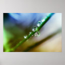 Suche nach wasser pflanze poster Grün