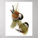 Suche nach birdwatcher poster Vogelbeobachter