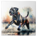 Recherche de peinture de chien carreaux Aquarelle