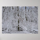 Suche nach schneesturm poster Natur
