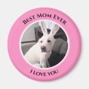 Recherche de oreilles de lapin magnets Adorable