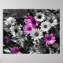 Suche nach afrikanische farben poster Natur