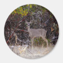 Suche nach friedlich magnete Foto