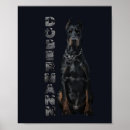 Suche nach pinscher poster Haustier