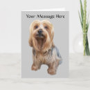 Suche nach yorkshire karten Hund