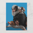 Recherche de bêtes fantastiques cartes postales Bébé niffler