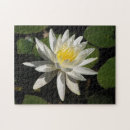 Suche nach weiße lilie puzzle Rätsel