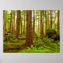 Suche nach rainforest poster Natur