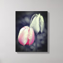 Suche nach weiße tulpen leinwandbilder Natur