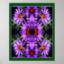 Suche nach lila aster poster Blume
