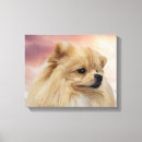 Suche nach poem leinwandbilder Hund