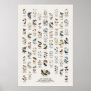 Suche nach schmetterlinge poster Wildtiere