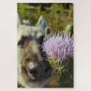 Suche nach drehen sie um puzzle Lustig