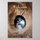 Recherche de animaux de bébé posters Usa