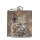 Suche nach gefährdet flachmänner Tier