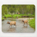 Suche nach elche mousepads Wald