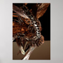 Recherche de squelette de dinosaure posters Paléontologie