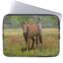 Suche nach horses laptop schutzhüllen Quarter horse