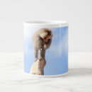 Suche nach baboon tassen Affe