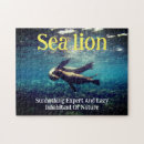Suche nach seelöwen puzzle Sealion