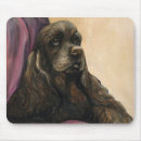 Suche nach schokolade cocker spaniel Hund