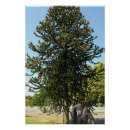 Recherche de remarquable posters Arbre
