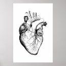 Recherche de anatomie coeur art Dessin