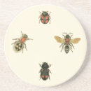 Recherche de encadré dessous de verres Studio de vision