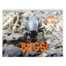 Suche nach käfer kalender Insekten