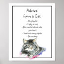 Suche nach ratschlag poster Lustig