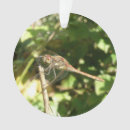 Suche nach dragonfly ornamente Flügel