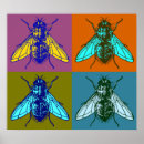 Recherche de mouche art Insecte