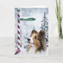 Suche nach die shetlandinseln schäferhund karten Niedlich
