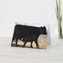 Suche nach kalb karten Natur