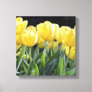 Recherche de tulipe art Nature