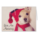 Suche nach schoßhund postkarten Horizontal