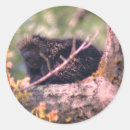 Suche nach wildtier aufkleber Für sie