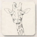 Recherche de zoo bar Cou