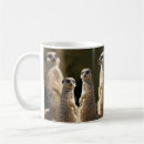 Recherche de merkats tasses Mangouste