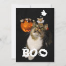 Recherche de animals cartes halloween Chat