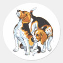 Recherche de chasse au renard autocollants B