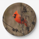 Recherche de aviaire assiettes en papier Nature