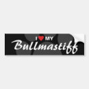 Suche nach bullmastiffs Zucht