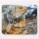 Suche nach reptil mousepads Leguan