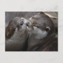 Suche nach bezaubernd postkarten Otter